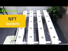 Commercial Nft Grow System